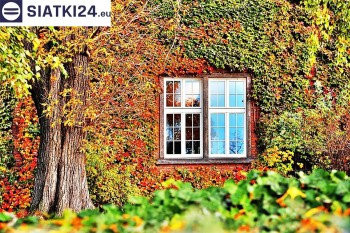 Siatki Olsztyn - Siatka wspomagająca wzrost roślin pnących na ścianie dla terenów Olsztyna